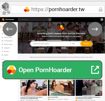 PornHoarder