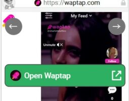 Waptap
