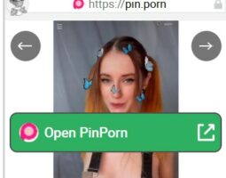 PinPorn