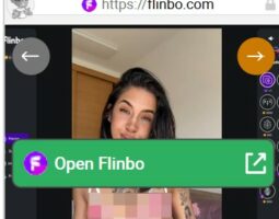Flinbo