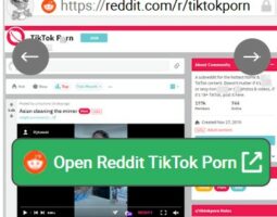 Reddit TikTok Porn
