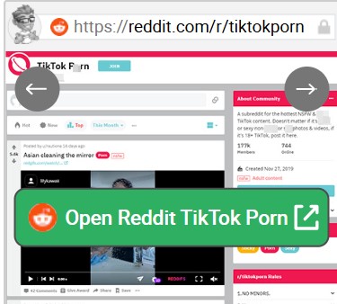Reddit TikTok Porn