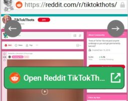 Reddit TikTokThots