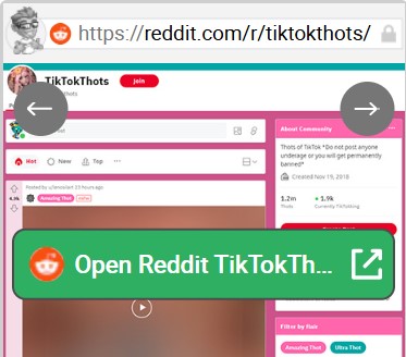 Reddit TikTokThots