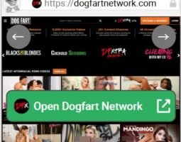 Dogfart Network