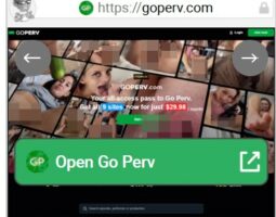 Go Perv