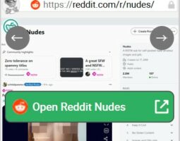 Reddit Nudes