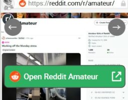 Reddit Amateur