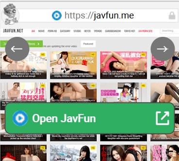 JavFun