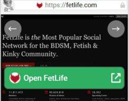 FetLife