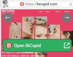 BiCupid