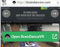 BrainDanceVR