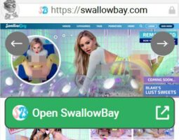 SwallowBay