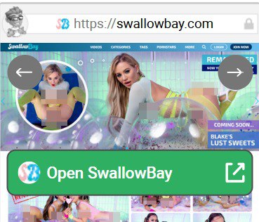 SwallowBay