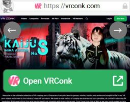 VRConk