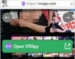 VRSpy