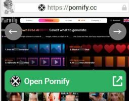 Pornify