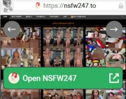 NSFW247