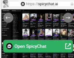SpicyChat