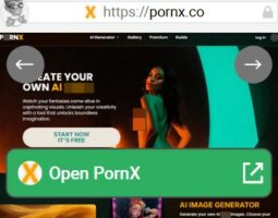 PornX
