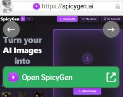 SpicyGen