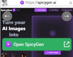 SpicyGen
