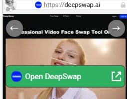 DeepSwap