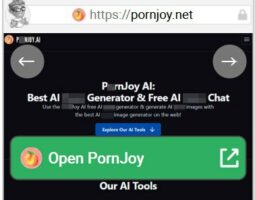 PornJoy