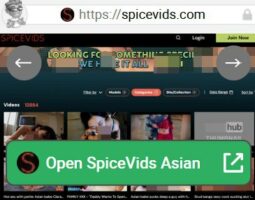 SpiceVids Asian