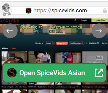 SpiceVids Asian