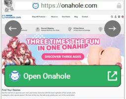 Onahole