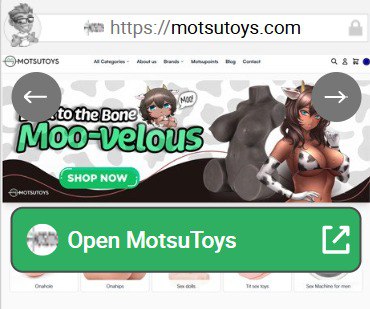 MotsuToys