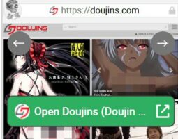 Doujins (Doujin Moe)