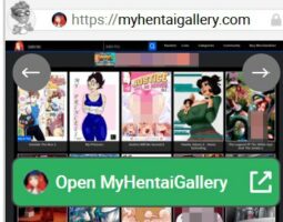 MyHentaiGallery