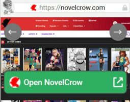NovelCrow
