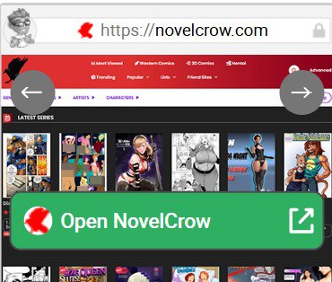 NovelCrow