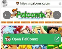 PalComix