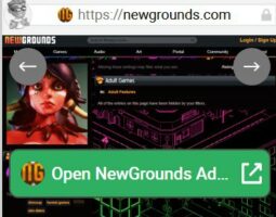 NewGrounds Adult Games