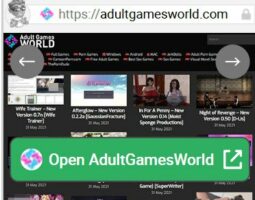 AdultGamesWorld