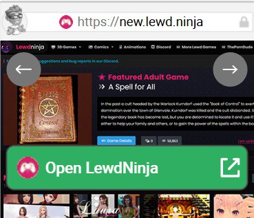 LewdNinja