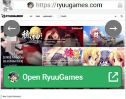 RyuuGames