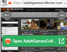 AdultGamesCollector
