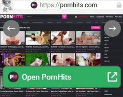 PornHits