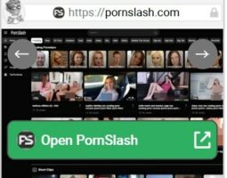PornSlash