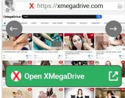 XMegaDrive