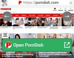 PornDish