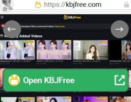 KBJFree