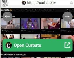 Curbate