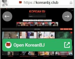 KoreanBJ