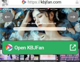 KBJFan